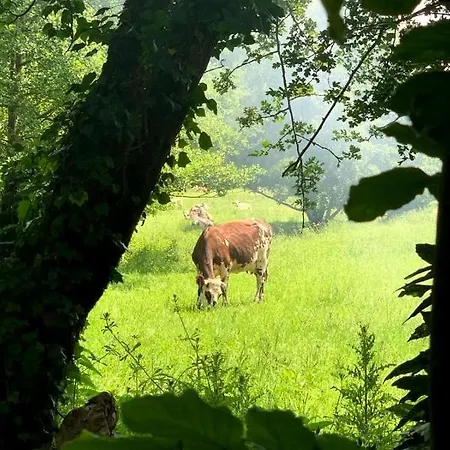 La Cour De L'eglise Frühstückspension 3*