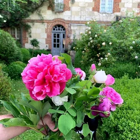 La Cour De L'eglise Saint Germain la campagne