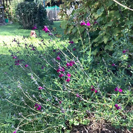 La Cour De L'eglise Frühstückspension 3*