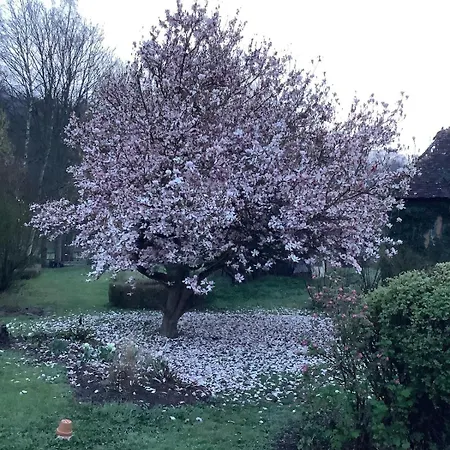 Frühstückspension La Cour De L'eglise