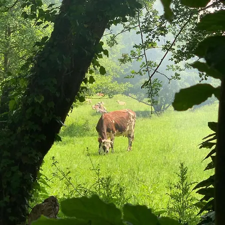 La Cour De L'eglise 3* Saint Germain la campagne