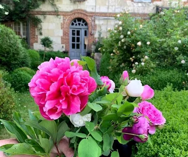 La Cour De L'eglise Saint Germain la campagne