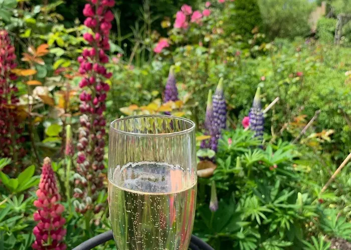 La Cour De L'eglise 住宿加早餐酒店