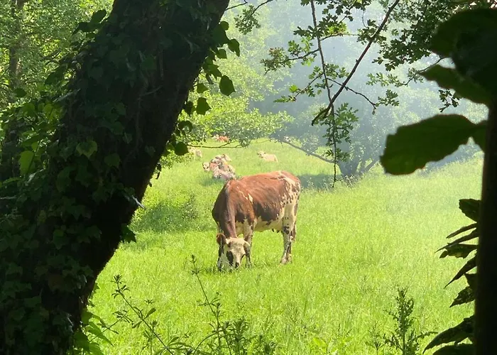La Cour De L'eglise 3* Saint Germain la campagne
